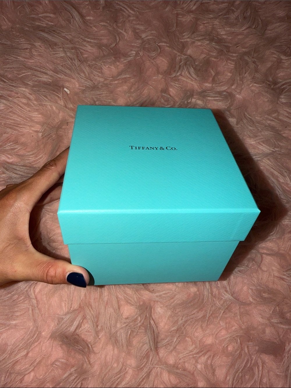 Tiffany & Co. Robin's Egg Blue Jewelry Box